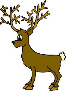 deer